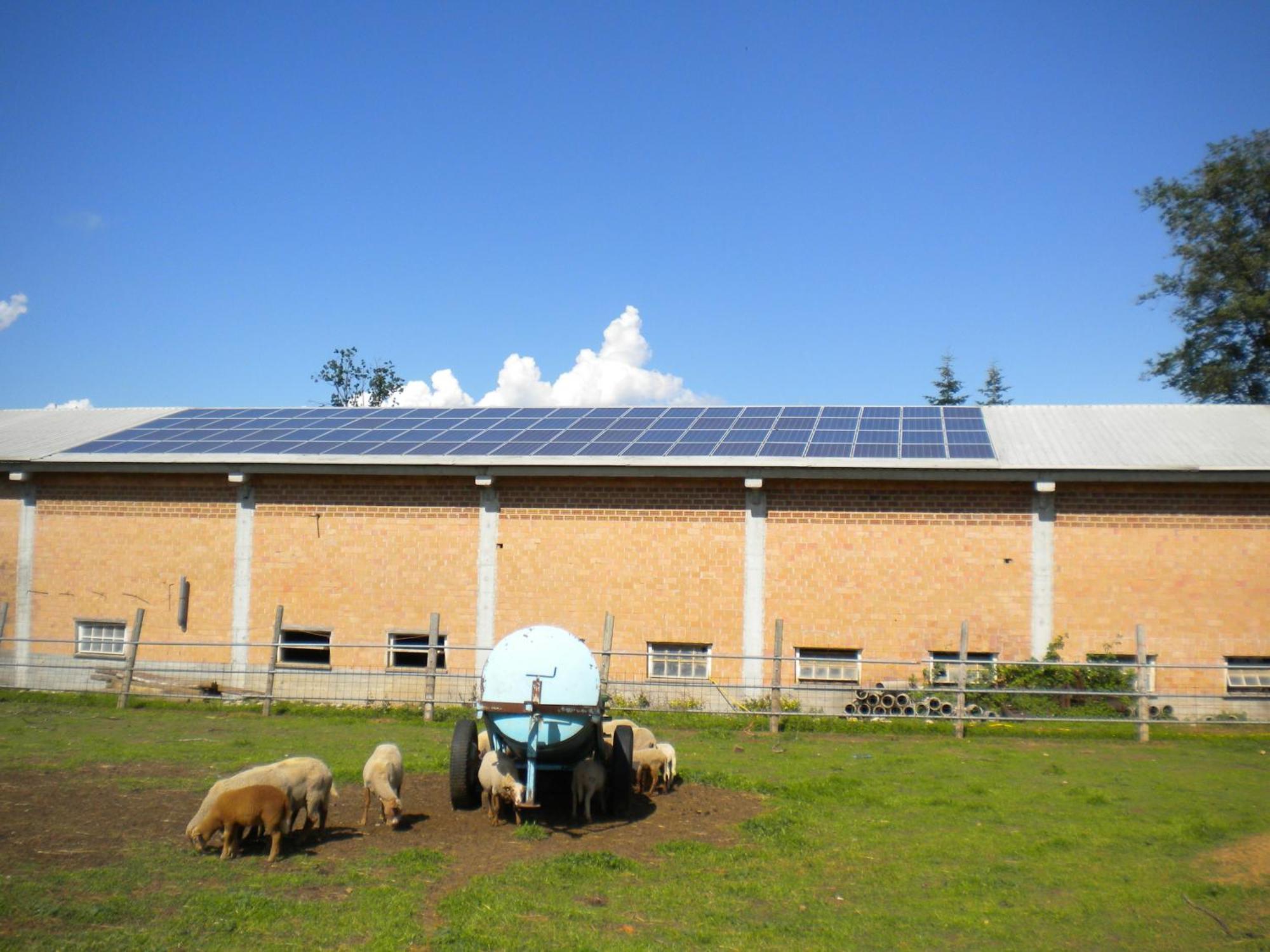 Agriturismo La Dimora Del Contadino Mondovì Buitenkant foto