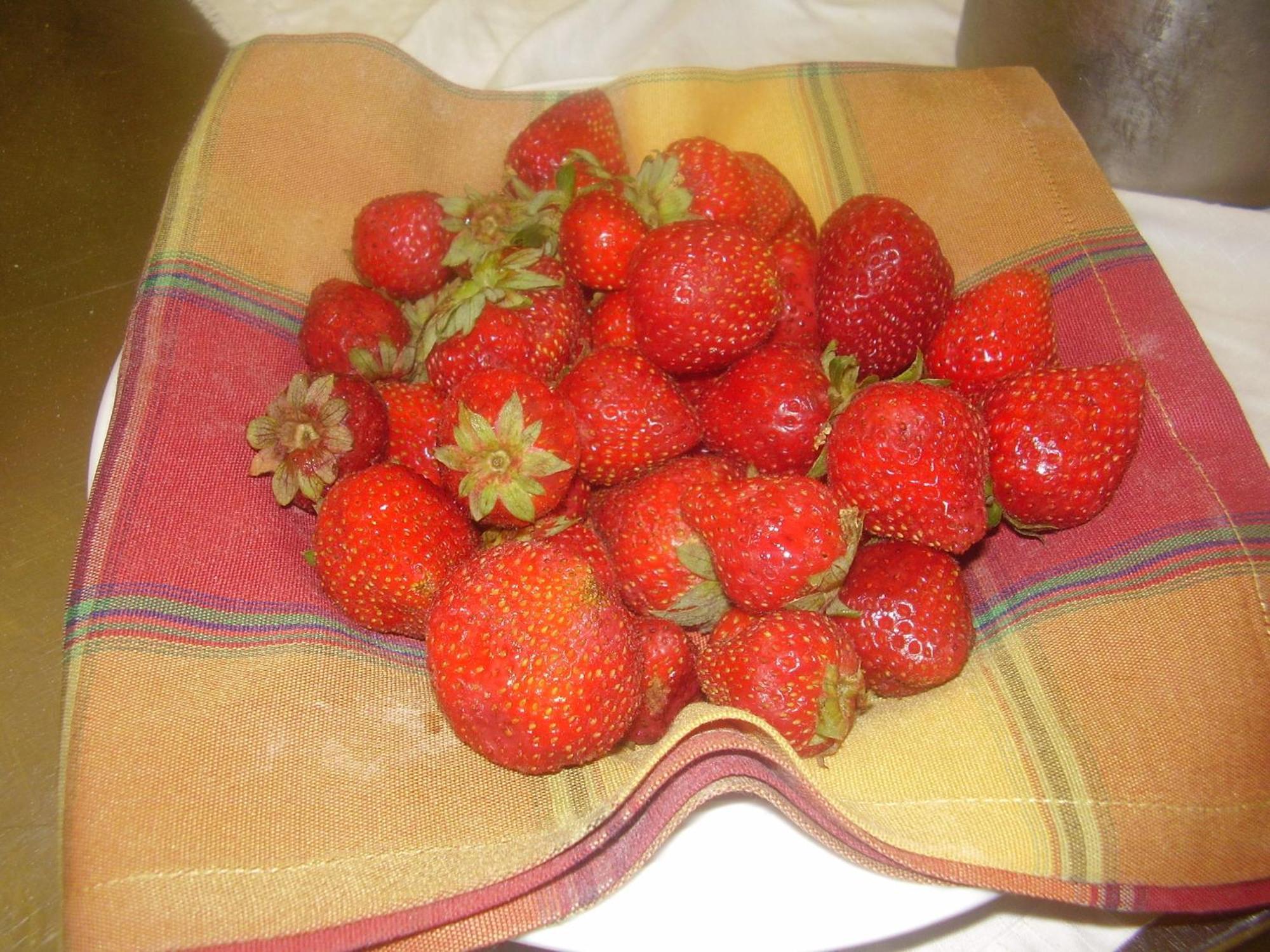 Agriturismo La Dimora Del Contadino Mondovì Buitenkant foto